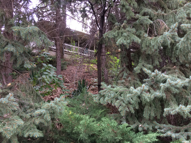 1518 E Canyon Rd, Ogden, UT 84404 — photo 7