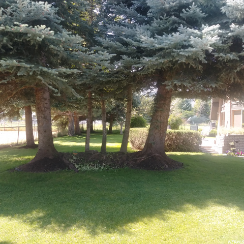 90 S 700 E, Midway, UT 84049 — photo 4