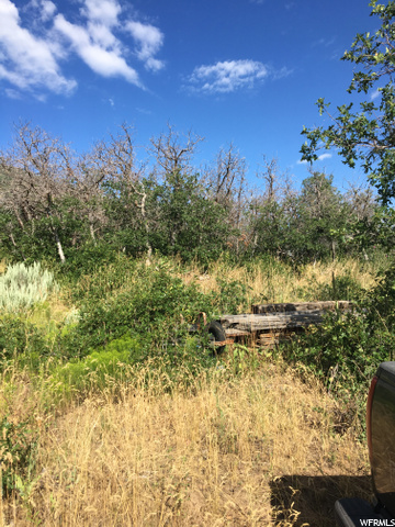 #76, Fountain Green, UT 84632 — photo 6