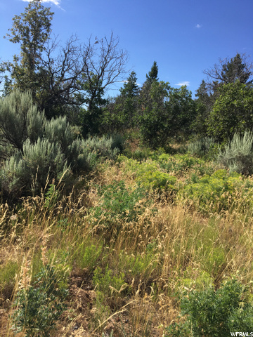 #76, Fountain Green, UT 84632 — photo 7