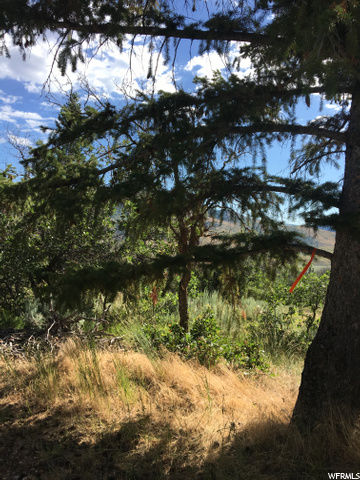 #76, Fountain Green, UT 84632 — photo 5