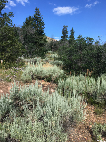 #76, Fountain Green, UT 84632 — photo 2