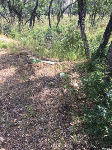 #76, Fountain Green, UT 84632 — photo 3