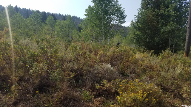 58 Aspen Loop #58, Oakley, UT 84055 — photo 2