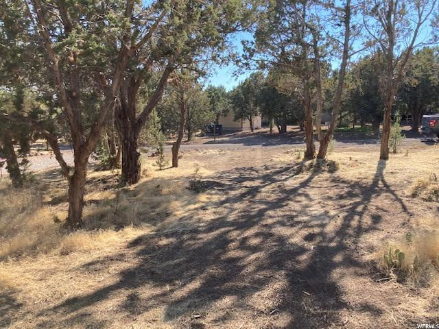 #21, Central, UT 84722 — photo 4