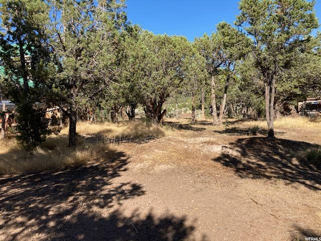 #21, Central, UT 84722 — photo 7