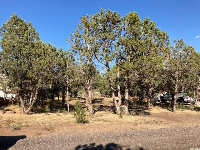 #21, Central, UT 84722 — photo 3