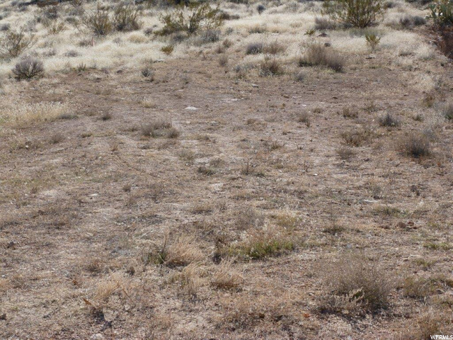 27 Paintbrush, Bloomington, UT 84790 — photo 11