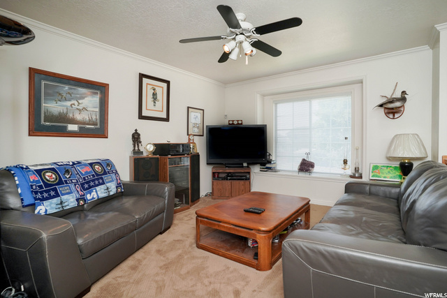 729 S 825 E, Layton, UT 84041 — photo 6