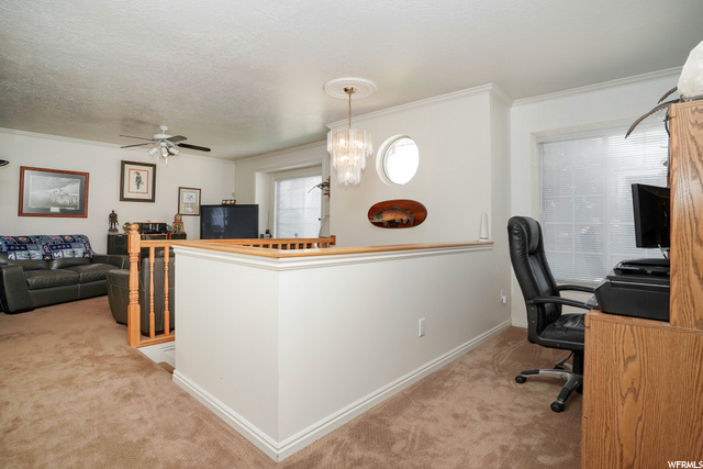 729 S 825 E, Layton, UT 84041 — photo 5