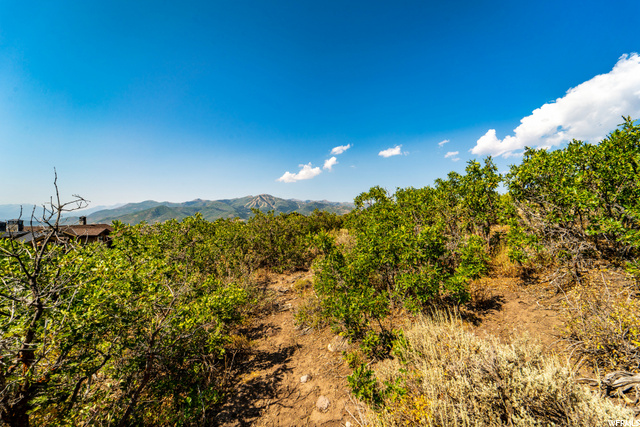 1203 E Black Hawk Way, Heber City, UT 84032 — photo 4