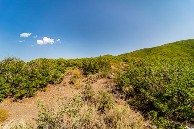 1203 E Black Hawk Way, Heber City, UT 84032 — photo 12