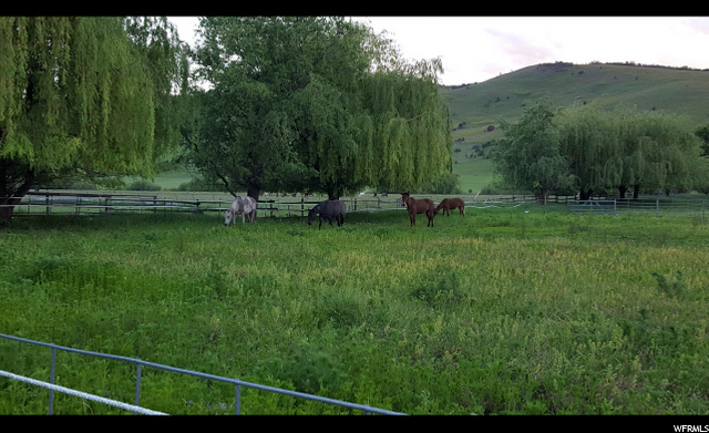 6857 E Highway 36, Preston, ID 83263 — photo 4