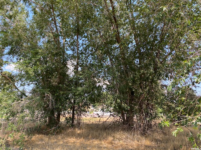 124 E Center, Monroe, UT 84754 — photo 2