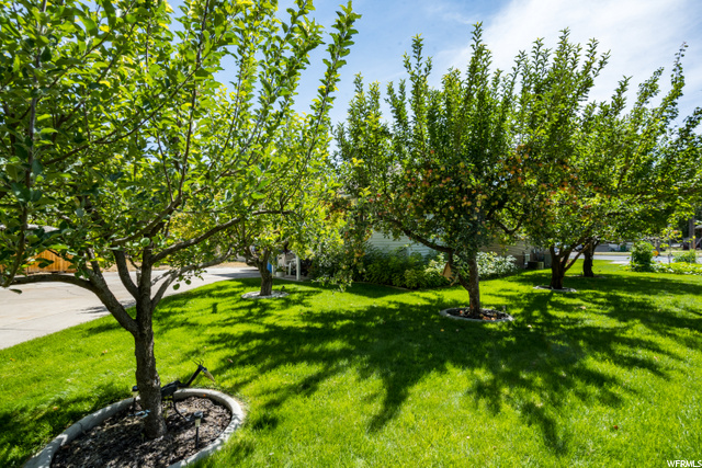 481 E Center St, Logan, UT 84321 — photo 5