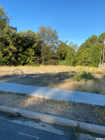 371 N 800 E #2, Bountiful, UT 84010 — photo 4