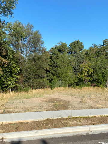 371 N 800 E #2, Bountiful, UT 84010 — photo 7