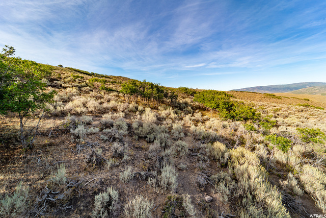 #18, Peoa, UT 84061 — photo 5