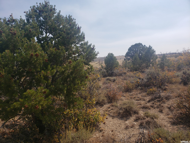 #165, Fruitland, UT 84027 — photo 2