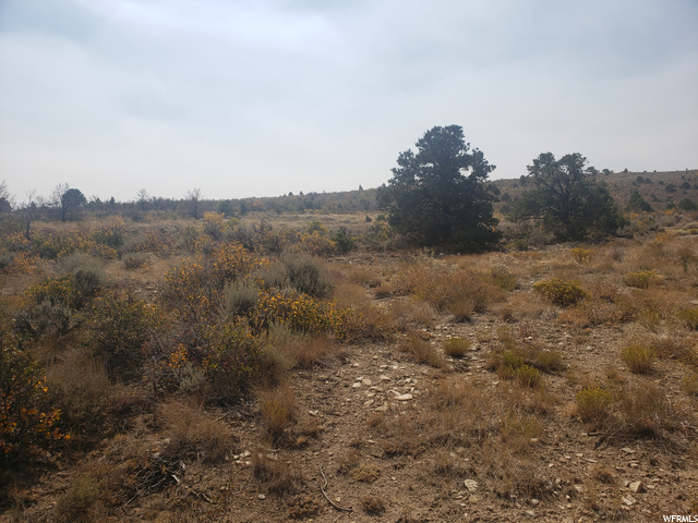 #165, Fruitland, UT 84027 — photo 5