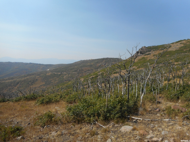 14 Kent Cyn #14, Wanship, UT 84017 — photo 6