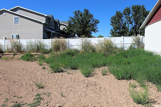 1598 S 1000 E, Clearfield, UT 84015 — photo 6