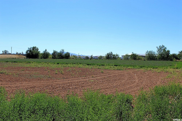 1598 S 1000 E, Clearfield, UT 84015 — photo 11