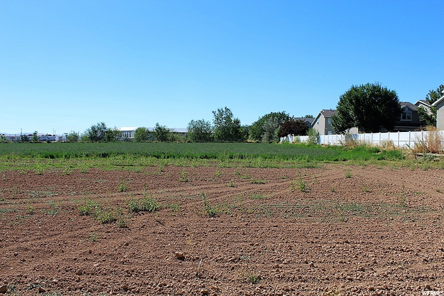 1598 S 1000 E, Clearfield, UT 84015 — photo 5