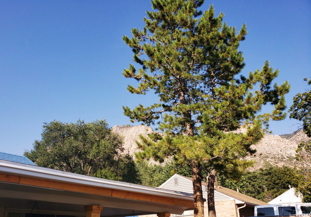 1240 E Harrop St, Ogden, UT 84404 — photo 2