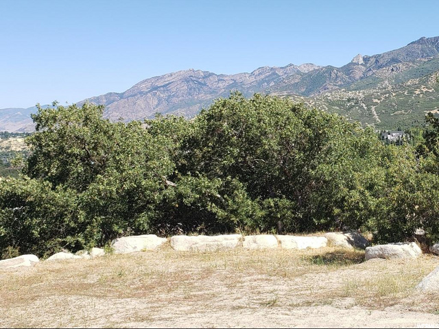 3002 E Oberland Rd, Sandy, UT 84092 — photo 10