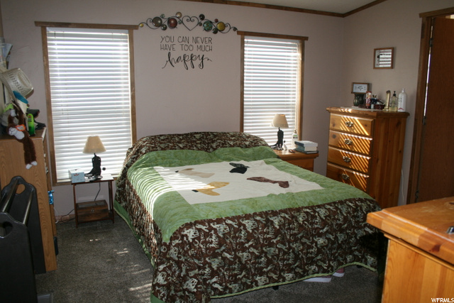 468 N Duckspring Dr., Moroni, UT 84646 — photo 10
