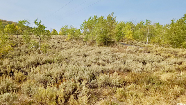 643 Conifer Dr #643, Oakley, UT 84055 — photo 7