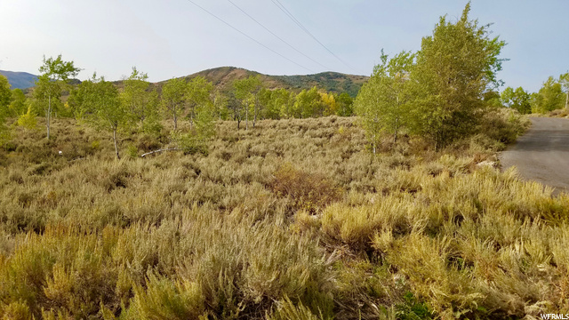 643 Conifer Dr #643, Oakley, UT 84055 — photo 6