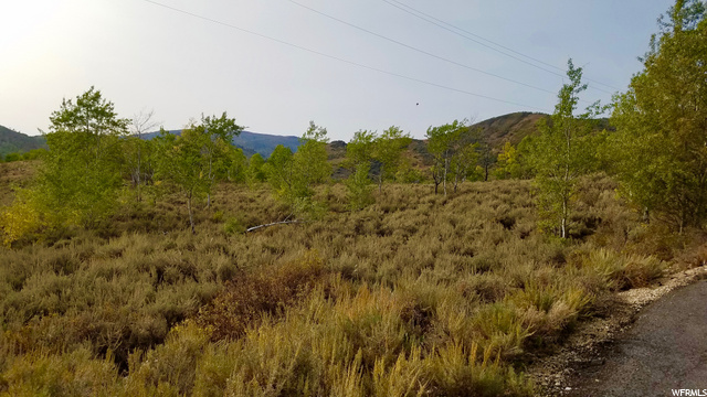 643 Conifer Dr #643, Oakley, UT 84055 — photo 12