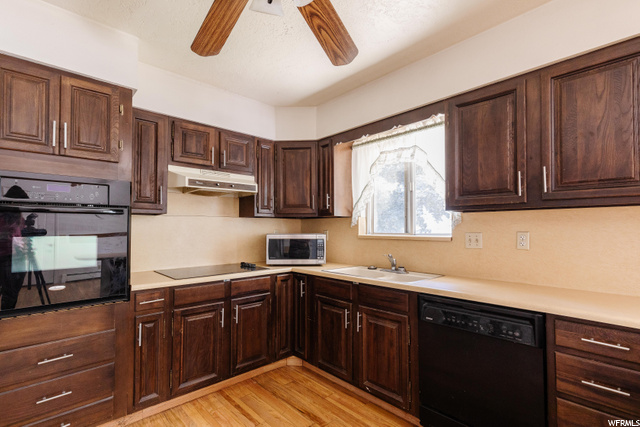 1147 N Wasatch Dr E, Logan, UT 84321 — photo 3
