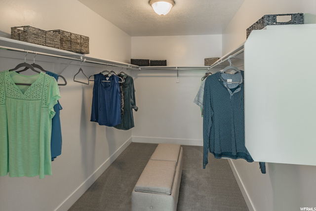 1036 S Vine St W #225, Mapleton, UT 84664 — photo 5