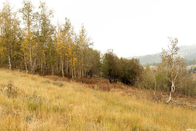 34 Legacy Ranch #34, Paradise, UT 84328 — photo 5