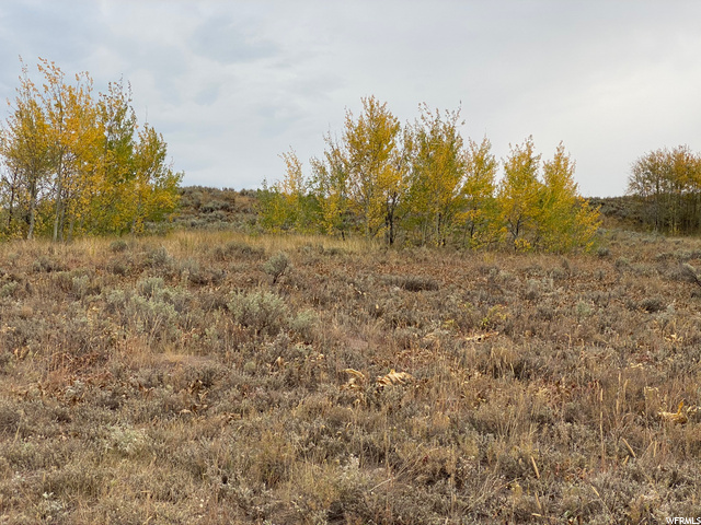 69 N Legacyranch #69, Avon, UT 84328 — photo 5