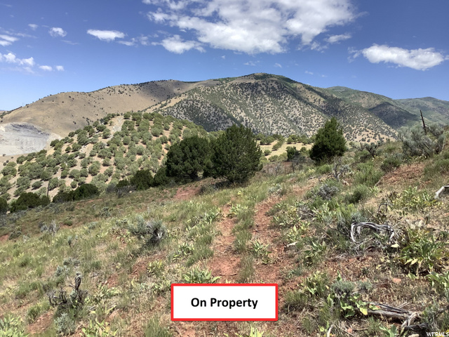 Morgan, UT 84050 — photo 7