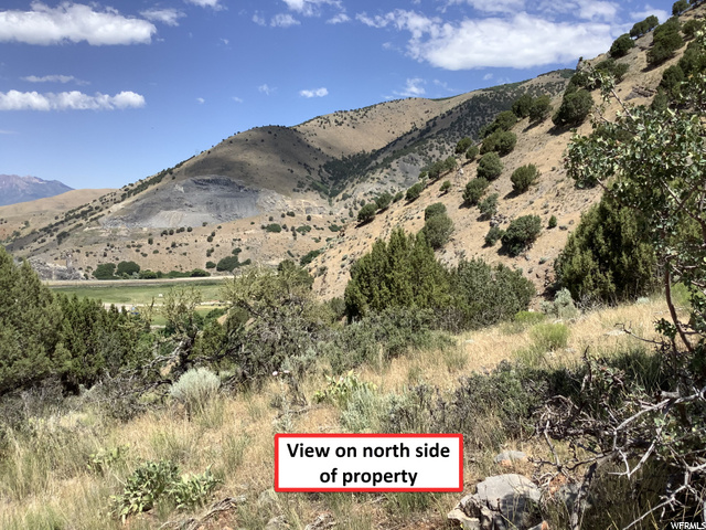 Morgan, UT 84050 — photo 9
