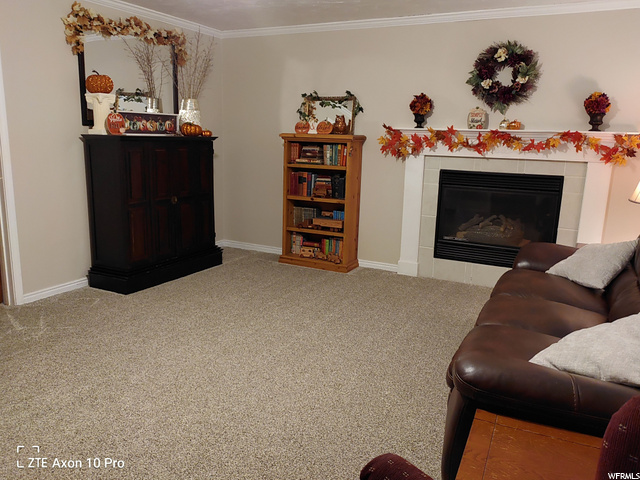 627 N 550 E, American Fork, UT 84003 — photo 4