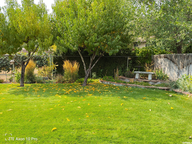 627 N 550 E, American Fork, UT 84003 — photo 11