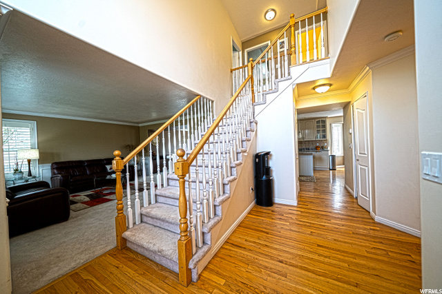 2828 E Falcon Way, Sandy, UT 84093 — photo 12