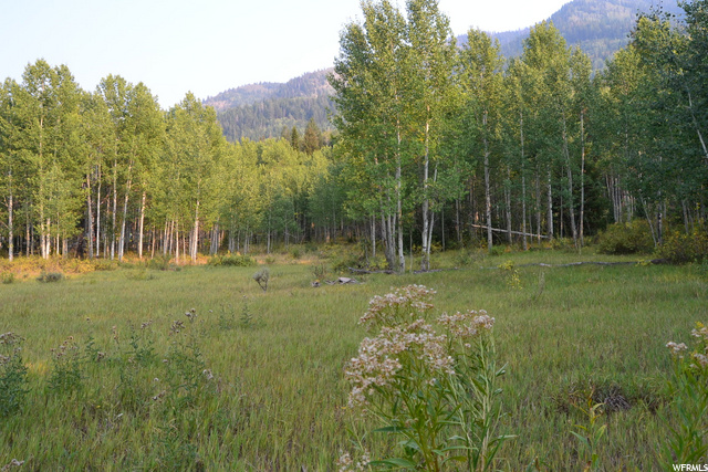 Oakley, UT 84055 — photo 6
