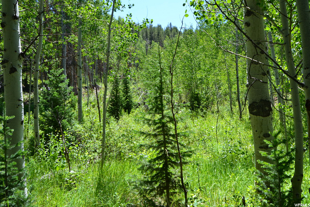 Oakley, UT 84055 — photo 10
