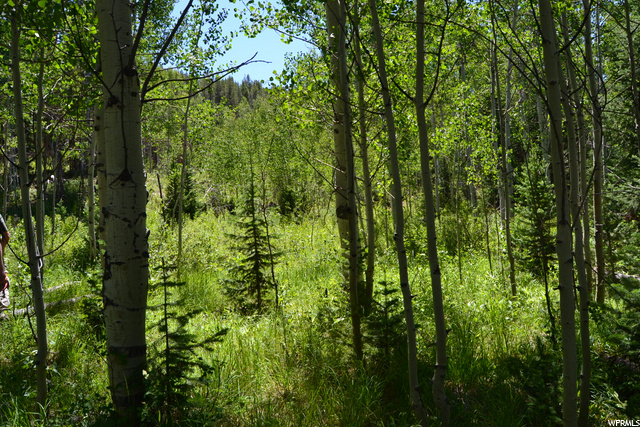 Oakley, UT 84055 — photo 9