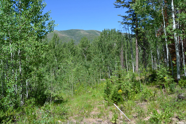 Oakley, UT 84055 — photo 11