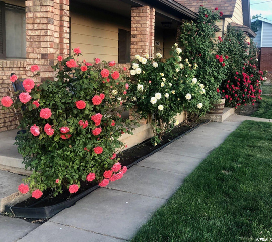 2662 N 1500 W, Clinton, UT 84015 — photo 2