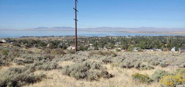 165 S Haul Rd E, Willard, UT 84340 — photo 3