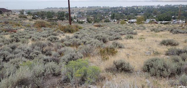 165 S Haul Rd E, Willard, UT 84340 — photo 10